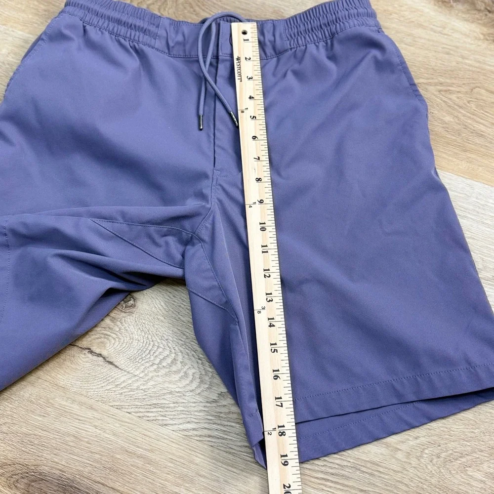 The North Face Shorts Mens 32 Purple Athletic Outdoors Hiking Gorpcore